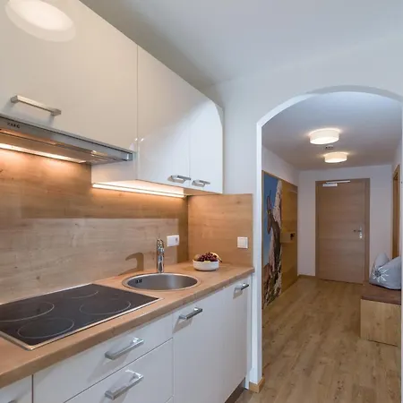 Apartmenthaus Katharina Mayrhofen Extérieur photo