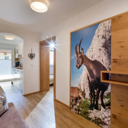 Apartmenthaus Katharina Mayrhofen Extérieur photo